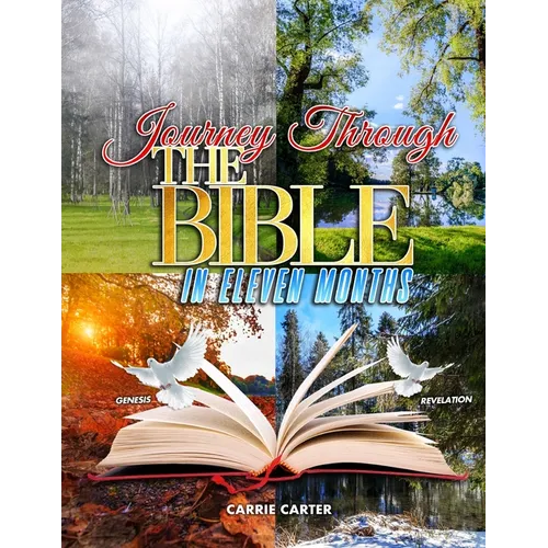 Journey Through the Bible in Eleven Months - Paperback