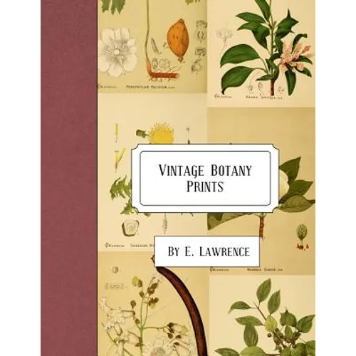 Vintage Botany Prints - Paperback