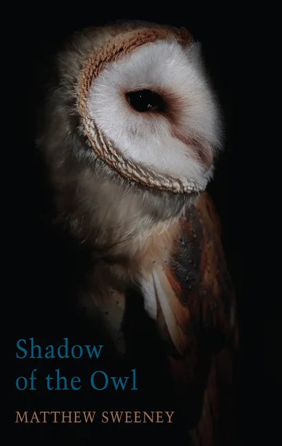Shadow of the Owl - Paperback