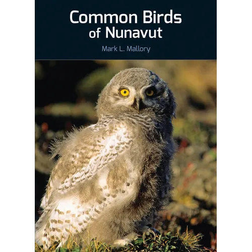 Common Birds of Nunavut - Paperback