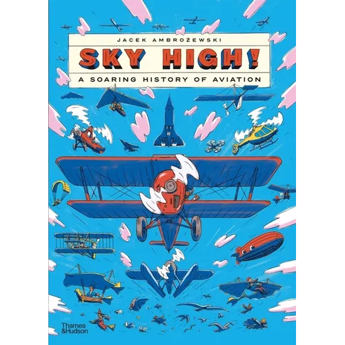 Sky High!: A Soaring History of Aviation - Hardcover