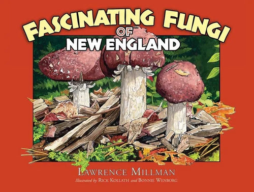 Fascinating Fungi of New England - Paperback