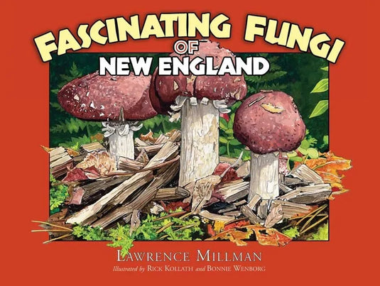 Fascinating Fungi of New England - Paperback