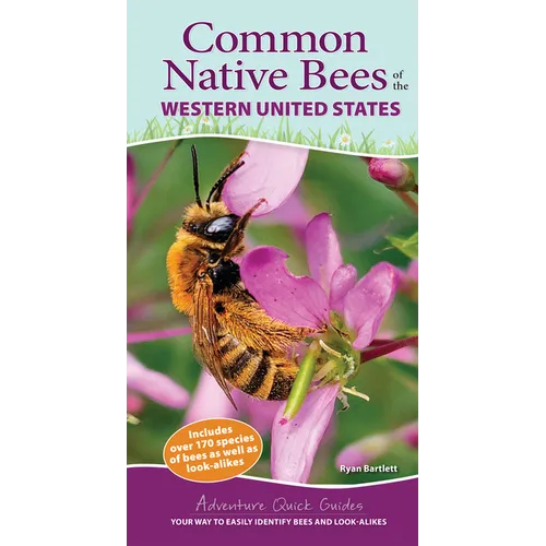 Common Native Bees of the Western United States: Your Way to Easily Identify Bees and Look-Alikes - Spiral