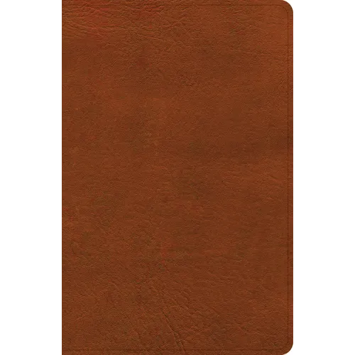 CSB Large Print Personal Size Reference Bible, Digital Study Edition, Burnt Sienna Leathertouch, Indexed - Imitation Leather