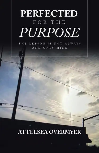 Perfected for the Purpose: The Lesson Is Not Always and Only Mine - Paperback