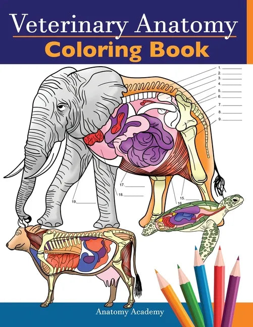 Veterinary Anatomy Coloring Book: Animals Physiology Self-Quiz Color Workbook for Studying and Relaxation Perfect gift For Vet Students and even Adult - Paperback