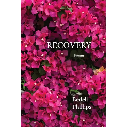 Recovery - Paperback