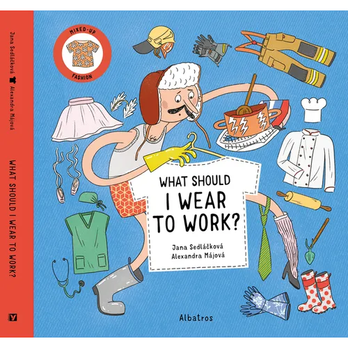 What Should I Wear to Work? - Hardcover