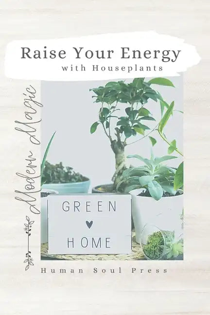 Raise Your Energy with House Plants - Paperback