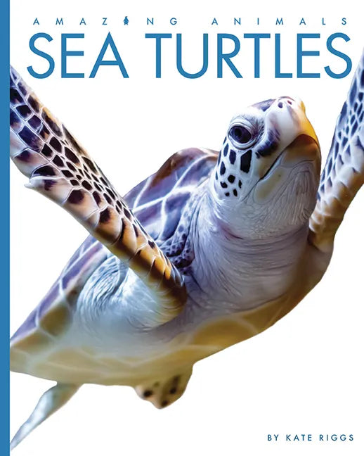 Sea Turtles - Paperback