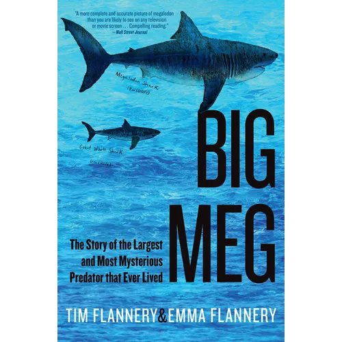 Big Meg: The Story of the Largest and Most Mysterious Predator That Ever Lived - Paperback