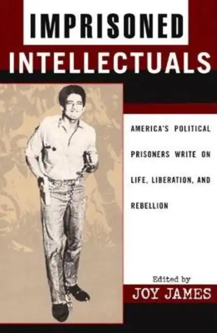 Imprisoned Intellectuals: America's Political Prisoners Write on Life, Liberation, and Rebellion - Paperback