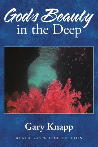 God's Beauty in the Deep - Paperback