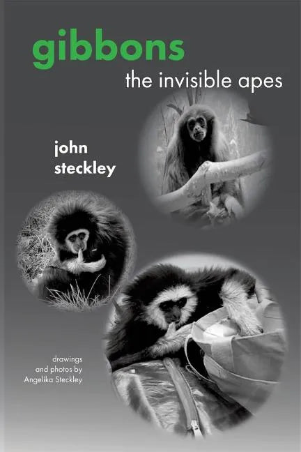 Gibbons: The Invisible Apes - Paperback