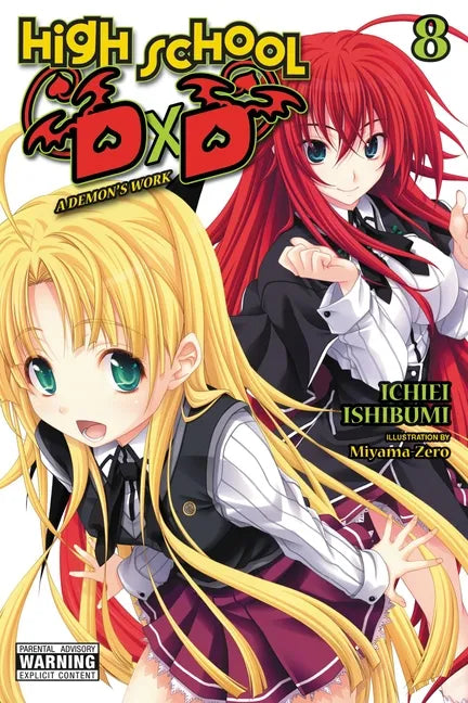High School DXD, Vol. 8 (Light Novel): A Demon's Work Volume 8 - Paperback