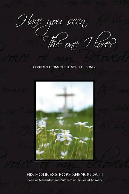 Have You Seen the One I Love: Contemplations on the Song of Songs - Paperback