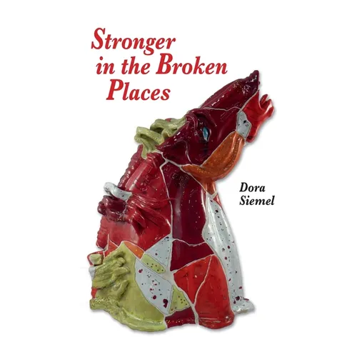Stronger in the Broken Places - Paperback