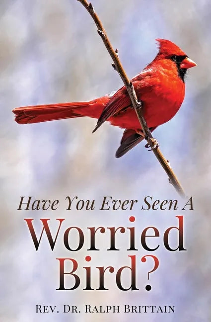 Have You Ever Seen A Worried Bird? - Paperback