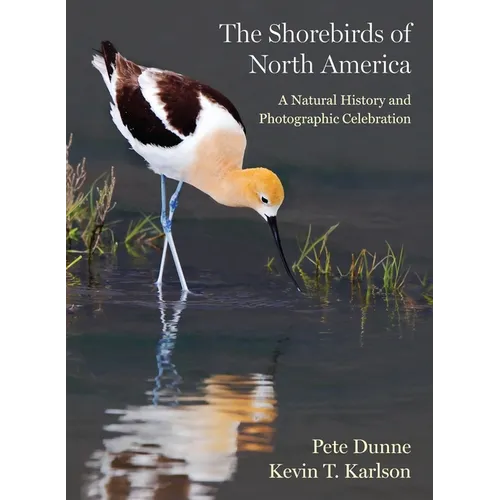 The Shorebirds of North America: A Natural History and Photographic Celebration - Hardcover