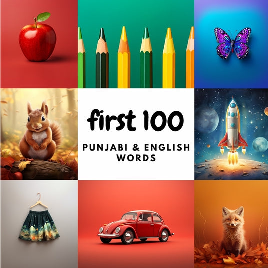 First 100 Punjabi & English Words - Paperback