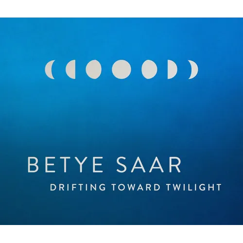 Betye Saar: Drifting Toward Twilight - Hardcover