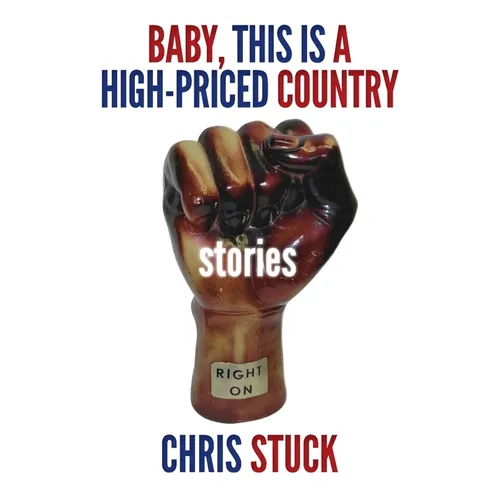 Baby, This is a High-Priced Country: Stories - Paperback