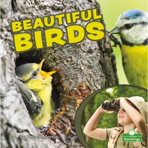 Beautiful Birds - Paperback
