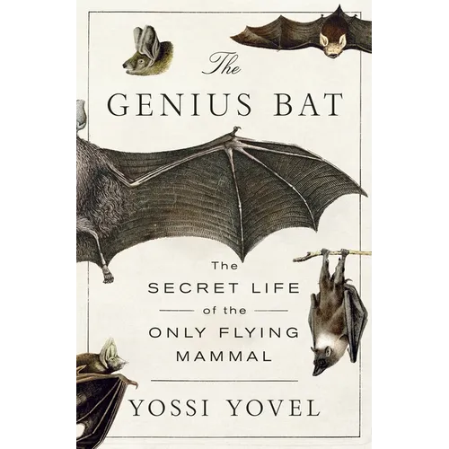 The Genius Bat: The Secret Life of the Only Flying Mammal - Hardcover