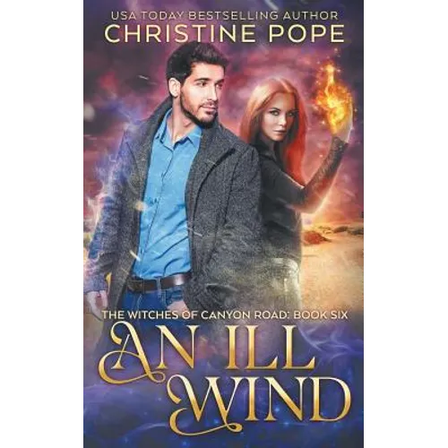An Ill Wind - Paperback
