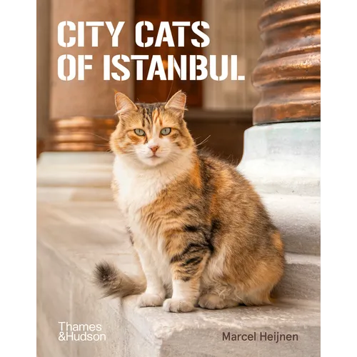 City Cats of Istanbul - Paperback