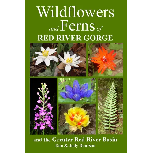 Wildflowers and Ferns of Red River Gorge and the Greater Red River Basin - Paperback
