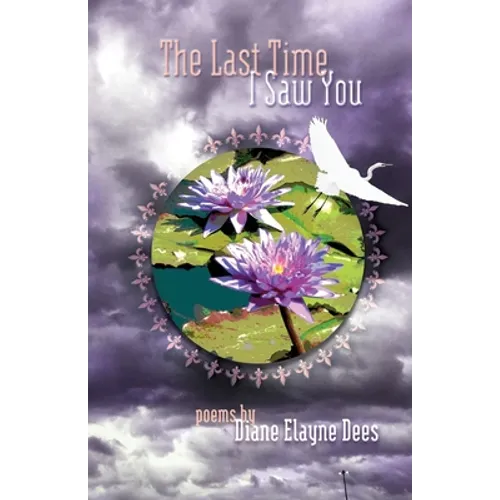 The Last Time I Saw You - Paperback