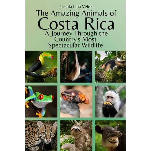 The Amazing Animals of Costa Rica: A Journey Through the Country's Most Spectacular Wildlife - Paperback