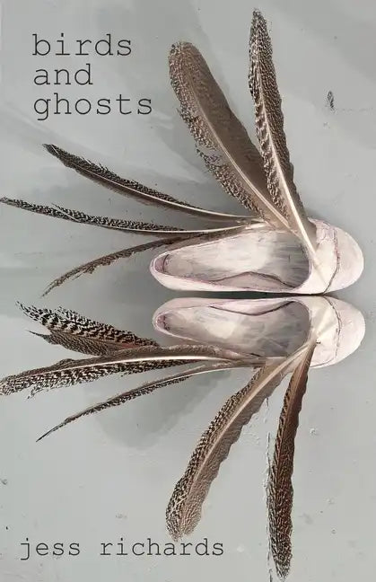 Birds and Ghosts - Paperback