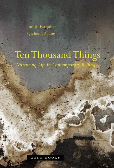 Ten Thousand Things: Nurturing Life in Contemporary Beijing - Hardcover