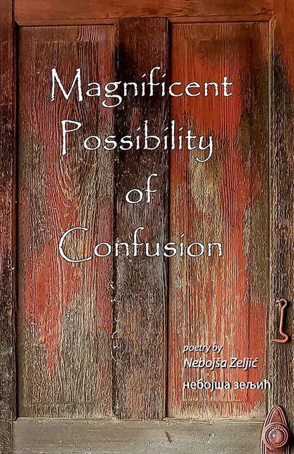 Magnificent Possibility of Confusion - Paperback