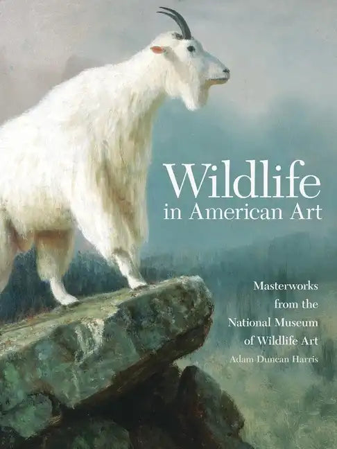 Wildlife in American Art: Masterworks from the National Museum of Wildlife Art - Paperback