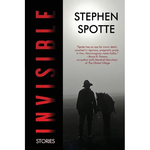 Invisible: Stories - Paperback