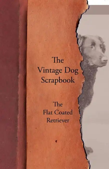 The Vintage Dog Scrapbook - The Flat Coated Retriever - Paperback