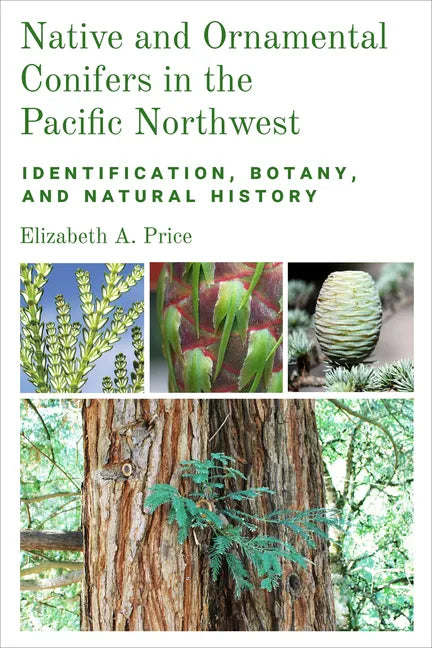 Native and Ornamental Conifers in the Pacific Northwest: Identification, Botany and Natural History - Paperback