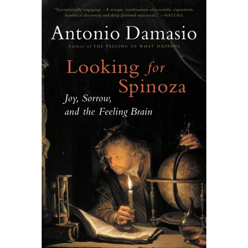 Looking for Spinoza: Joy, Sorrow, and the Feeling Brain - Paperback
