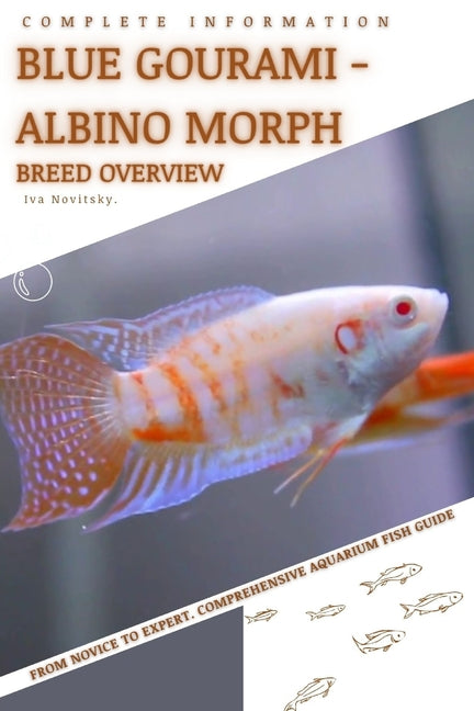 Blue Gourami - Albino Morph: From Novice to Expert. Comprehensive Aquarium Fish Guide - Paperback