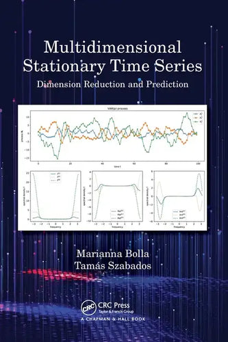 Multidimensional Stationary Time Series: Dimension Reduction and Prediction - Paperback