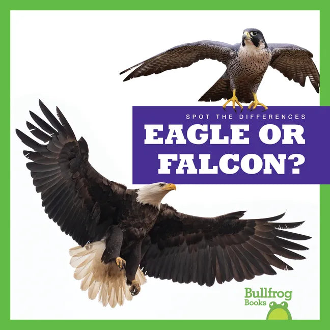Eagle or Falcon? - Paperback