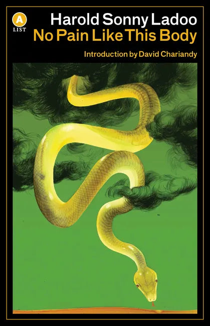 No Pain Like This Body - Paperback