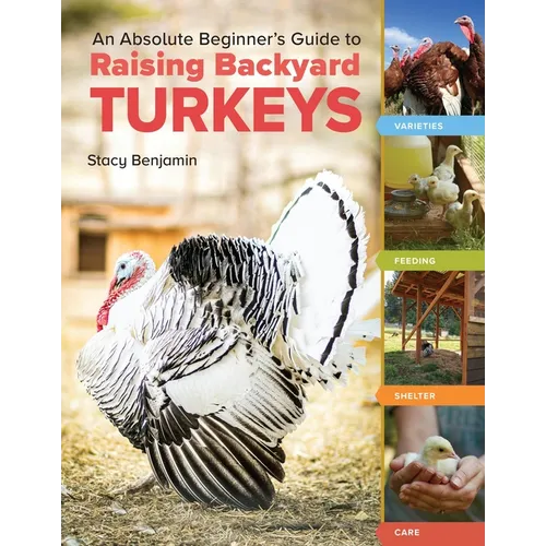 An Absolute Beginner's Guide to Raising Backyard Turkeys: Varieties, Feeding, Shelter, Care - Paperback
