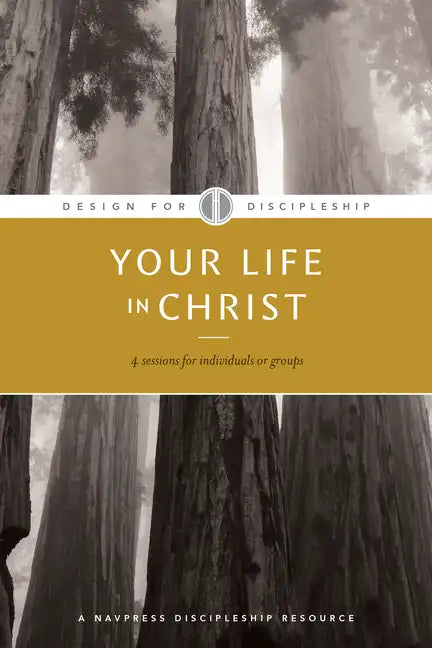 Your Life in Christ - Paperback