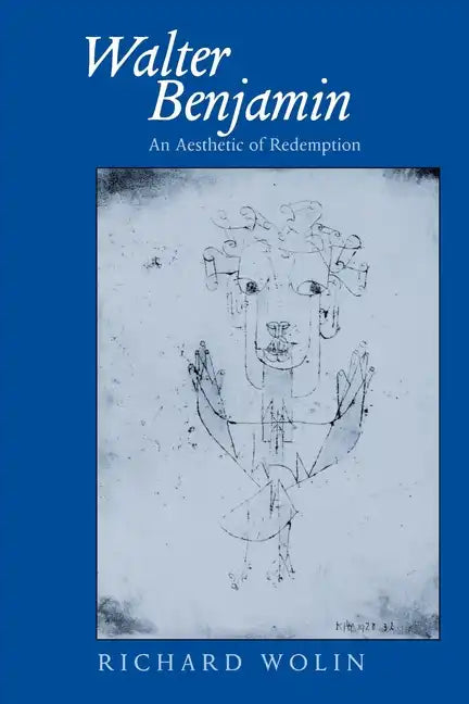 Walter Benjamin: An Aesthetic of Redemption Volume 7 - Paperback
