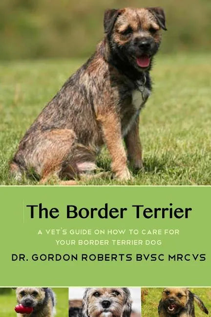 The Border Terrier: A vet's guide on how to care for your Border Terrier dog - Paperback
